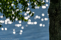 At the Lake