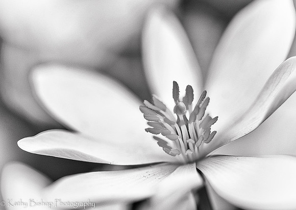 130504Garden335-Edit-3-Edit