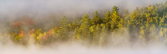 Through the Fog
