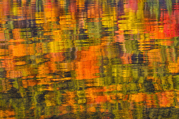 Tapestry on the Water