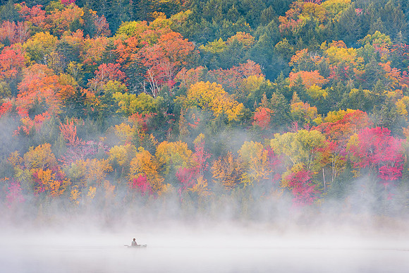 Waiting for a Moose
