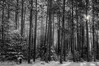 170112Namekagan481manualhdr as printed B&W1