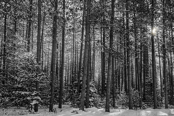 170112Namekagan481manualhdr as printed B&W1