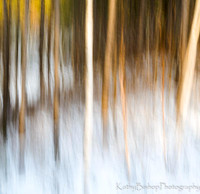 Woods Awash