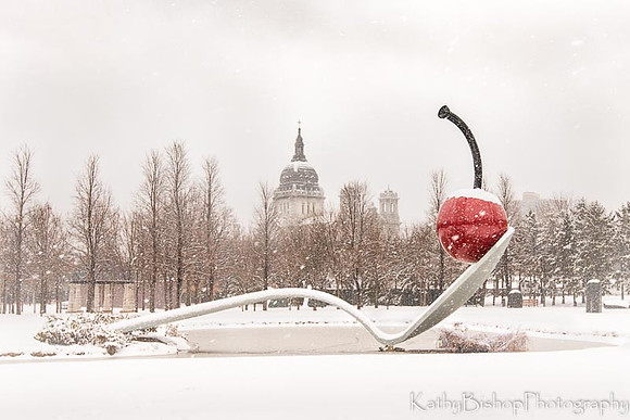 Snowy Cherry