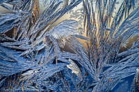 190130653-660SunsetFrost1