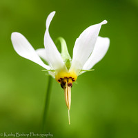 210520Spring4