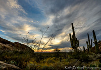 140323Tucson179