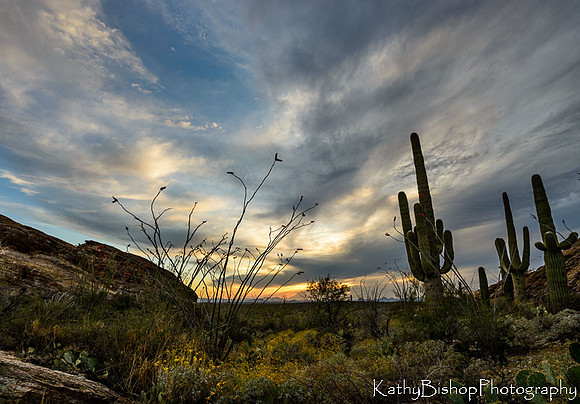 140323Tucson179