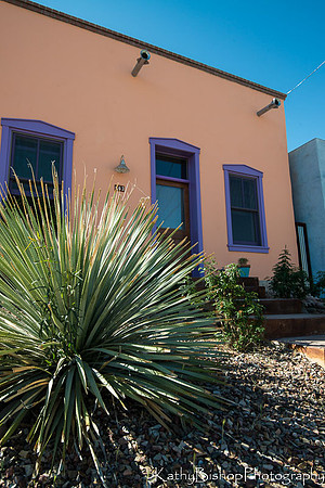 140324Tucson255