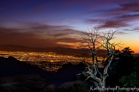 140321Tucson264