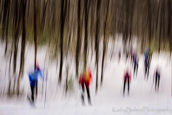 Racing through the Trees