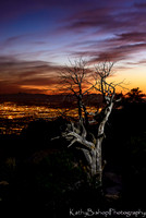 140321Tucson262