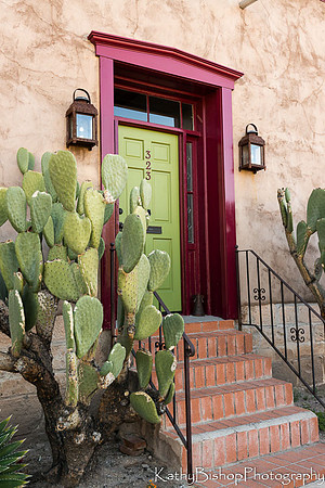 140324Tucson94