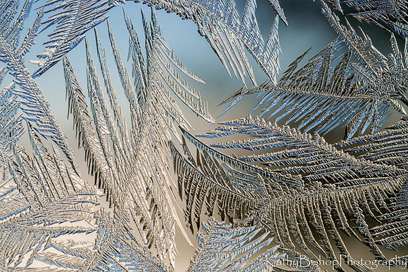 Frozen