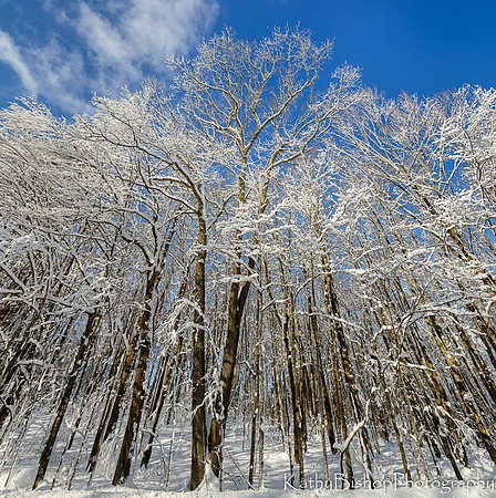 Reaching for the Sky