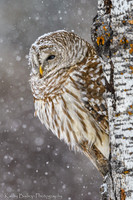 200217Bog-330-Edit
