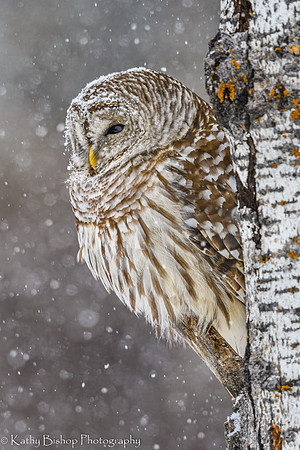 200217Bog-330-Edit