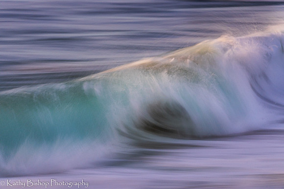 220127Molokai-2850