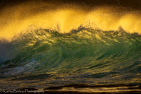 220127Molokai-3276