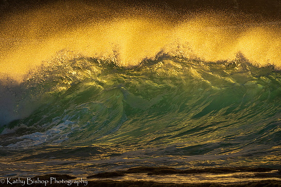 220127Molokai-3276