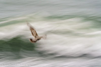 190530California284