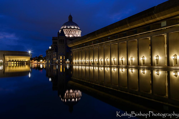 Lights' Reflection