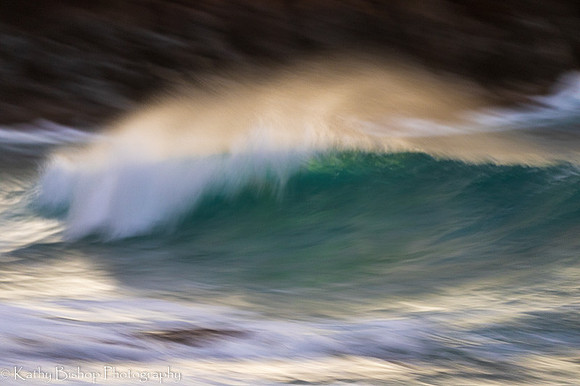 220127Molokai-3791