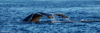220126Molokai2002