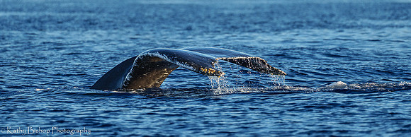 220126Molokai2002