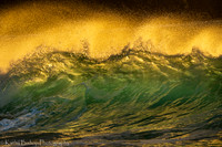 220127Molokai-3271