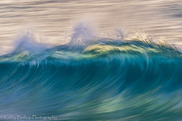 220127Molokai-3870