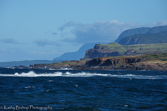 220126Molokai5424-2