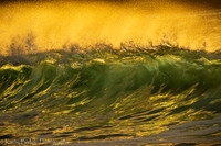 220127Molokai-3354