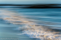 210409SeaRanch-610