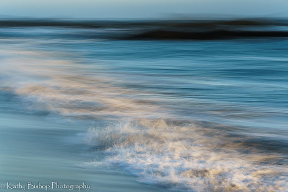 210409SeaRanch-610