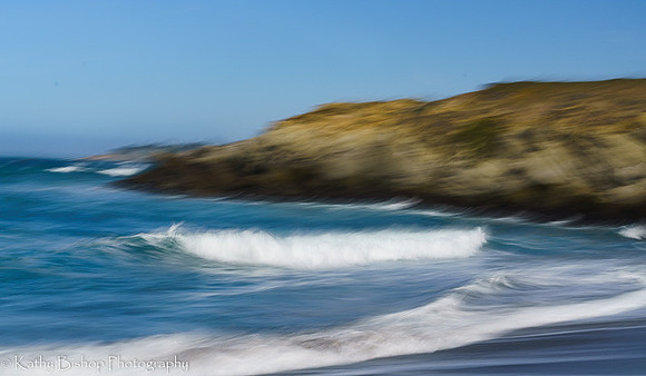 210411SeaRanch-198