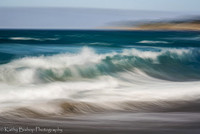 210409SeaRanch-45