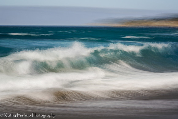 210409SeaRanch-45