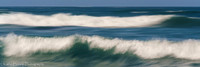210411SeaRanch-815