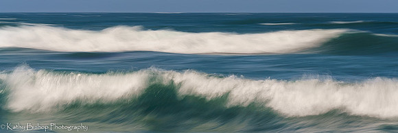 210411SeaRanch-815