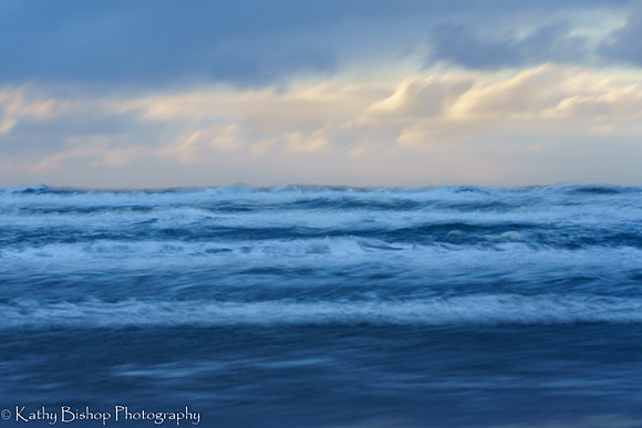 211115Oregon-407