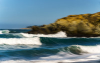 210411SeaRanch-255