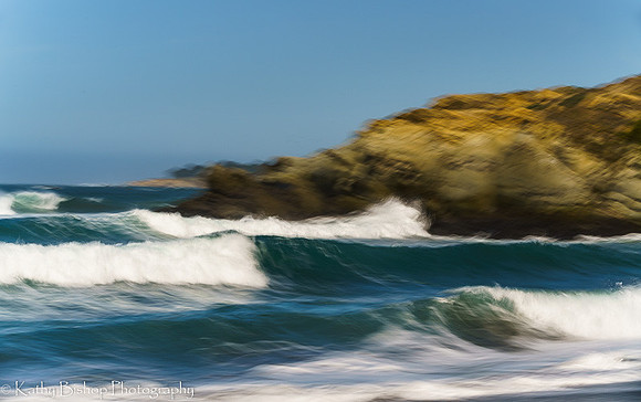 210411SeaRanch-255