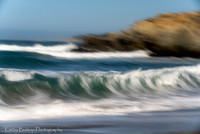 210411SeaRanch-248