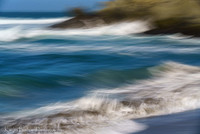 210411SeaRanch-833