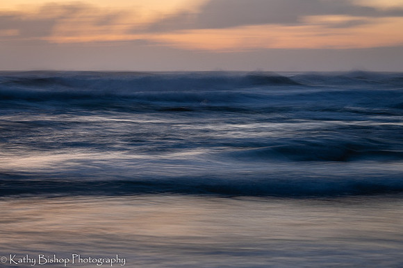211116Oregon-343
