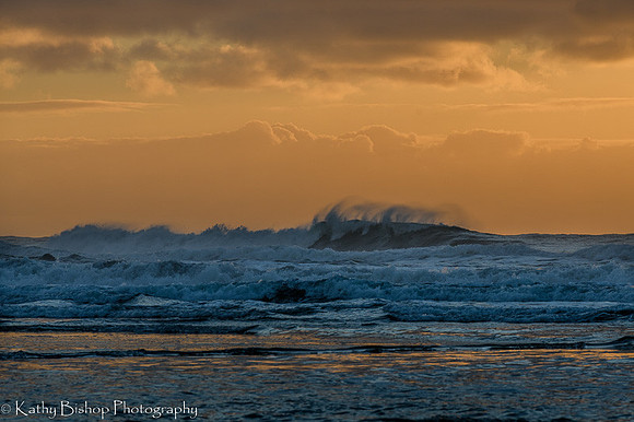 211116Oregon-295