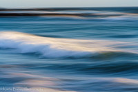 210409SeaRanch-557
