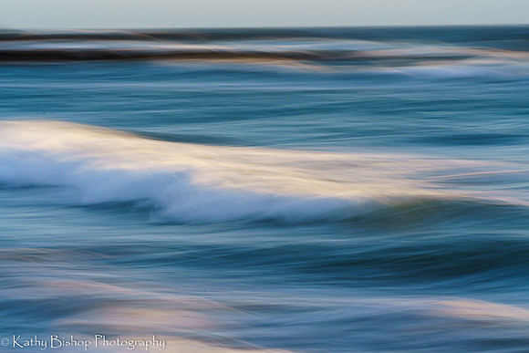 210409SeaRanch-557